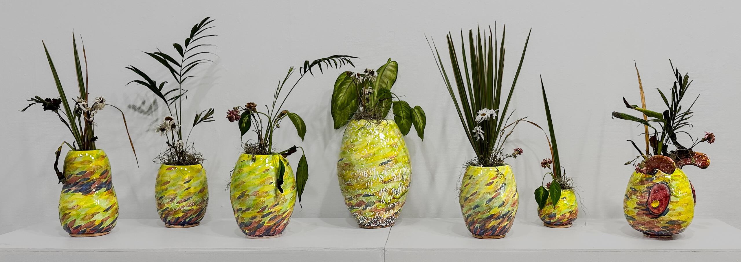 "Fostered to Wilt" 2024
