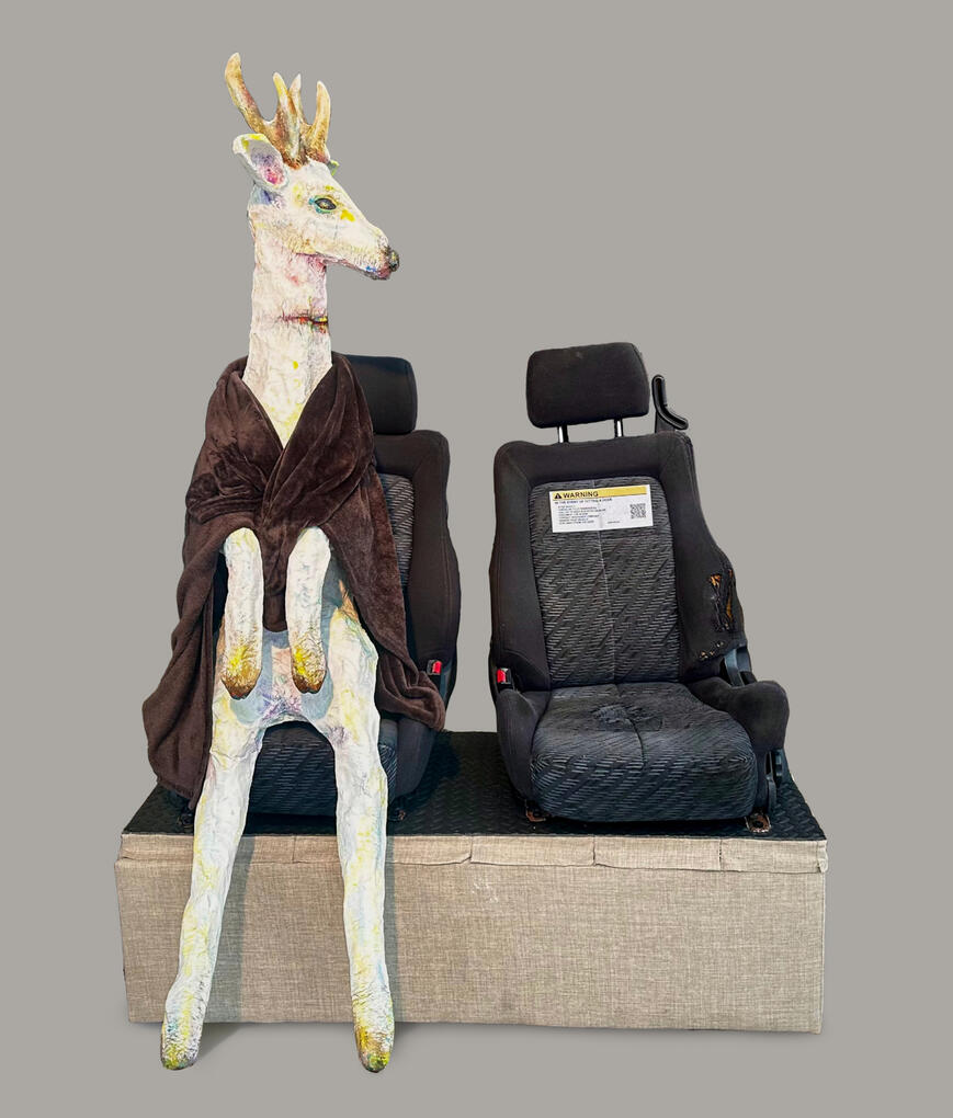 "What to do After Hitting a Deer?" 2025